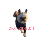 きゃんでぃーまある（個別スタンプ：3）