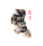 きゃんでぃーまある（個別スタンプ：6）