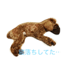 トイプードルのこうちゃん2（個別スタンプ：17）