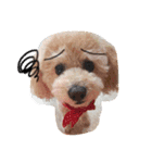 coach's stamp（個別スタンプ：3）