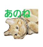 みかんスタンプฅ•ω•ฅ（個別スタンプ：8）