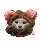 ロシアンブルーのあくあちゃん♥︎︎（個別スタンプ：9）
