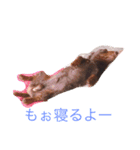 ワンコの声（個別スタンプ：1）