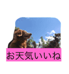 ワンコの声（個別スタンプ：6）