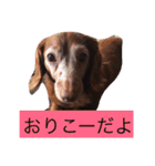 ワンコの声（個別スタンプ：8）