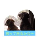 ワンコの声（個別スタンプ：10）