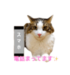 森くんGOGO（個別スタンプ：5）