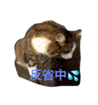 森くんGOGO（個別スタンプ：6）