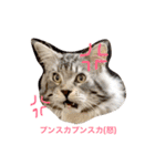 森くんGOGO（個別スタンプ：12）