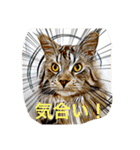 森くんGOGO（個別スタンプ：16）