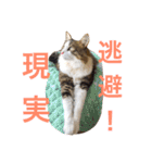 森くんGOGO（個別スタンプ：17）