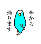 感情豊かなセキセイインコ★ブルー（個別スタンプ：21）