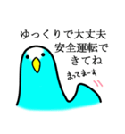 感情豊かなセキセイインコ★ブルー（個別スタンプ：31）
