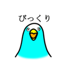 感情豊かなセキセイインコ★ブルー（個別スタンプ：36）