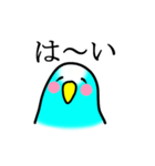感情豊かなセキセイインコ★ブルー（個別スタンプ：37）