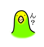 感情豊かなセキセイインコ★キイロ（個別スタンプ：5）