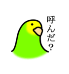感情豊かなセキセイインコ★キイロ（個別スタンプ：6）