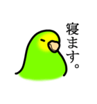 感情豊かなセキセイインコ★キイロ（個別スタンプ：8）