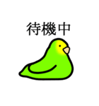 感情豊かなセキセイインコ★キイロ（個別スタンプ：12）