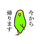 感情豊かなセキセイインコ★キイロ（個別スタンプ：21）