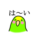 感情豊かなセキセイインコ★キイロ（個別スタンプ：37）