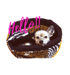 MIXわんこズ（個別スタンプ：3）