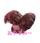 りおんとぷりん（個別スタンプ：3）