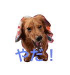 りおんとぷりん（個別スタンプ：6）