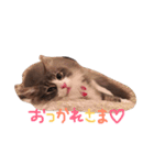 日常会話のりりちゃん（個別スタンプ：2）