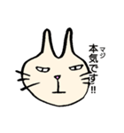 にゃーお 3（個別スタンプ：11）