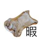 茶トラねこのちゃあ（個別スタンプ：3）