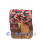 茶トラねこのちゃあ（個別スタンプ：24）