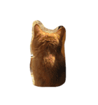 茶トラねこのちゃあ（個別スタンプ：28）