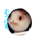family.i（個別スタンプ：14）