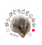 ハムスターのぽぽちゃん2（個別スタンプ：2）