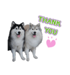 Lupang＆Luney Husky Thailand（個別スタンプ：2）