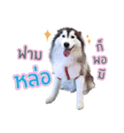 Lupang＆Luney Husky Thailand（個別スタンプ：4）