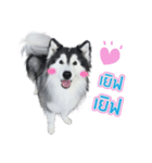 Lupang＆Luney Husky Thailand（個別スタンプ：5）