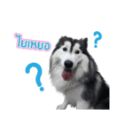 Lupang＆Luney Husky Thailand（個別スタンプ：8）