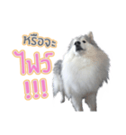 Lupang＆Luney Husky Thailand（個別スタンプ：10）