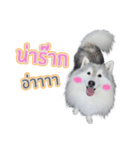 Lupang＆Luney Husky Thailand（個別スタンプ：13）