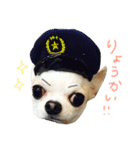 チワワのつぶあん（個別スタンプ：4）