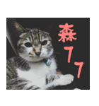 caramel ＆ uno（個別スタンプ：16）