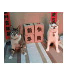 caramel ＆ uno（個別スタンプ：23）
