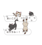 【あいこ】猫だらけの吹き出し（個別スタンプ：3）