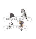 【あいこ】猫だらけの吹き出し（個別スタンプ：10）