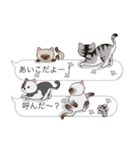 【あいこ】猫だらけの吹き出し（個別スタンプ：11）