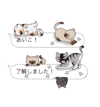 【あいこ】猫だらけの吹き出し（個別スタンプ：17）