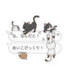 【あいこ】猫だらけの吹き出し（個別スタンプ：20）