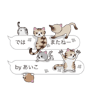 【あいこ】猫だらけの吹き出し（個別スタンプ：40）